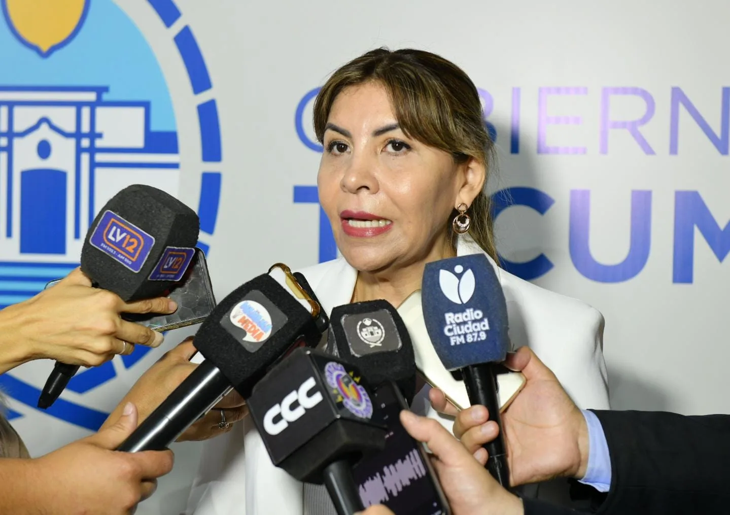 Sandra Mendoza: "El peronismo debe unirse contra La Libertad Avanza"