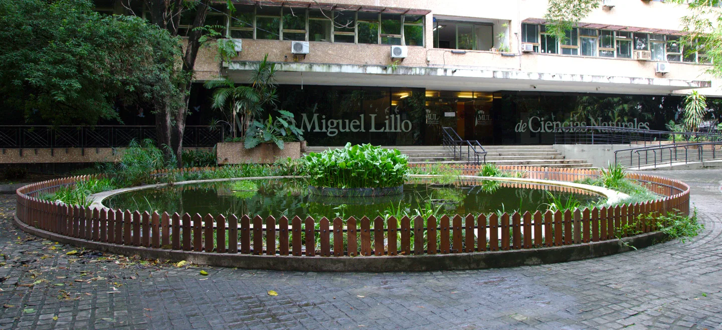 Procesan a cuatro directivos de la Fundación Miguel Lillo