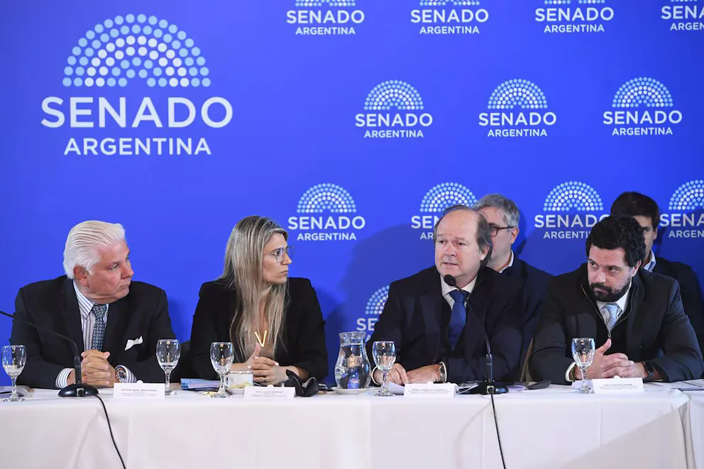 El Súper RIGI avanza en el Senado y define su última etapa antes del dictamen