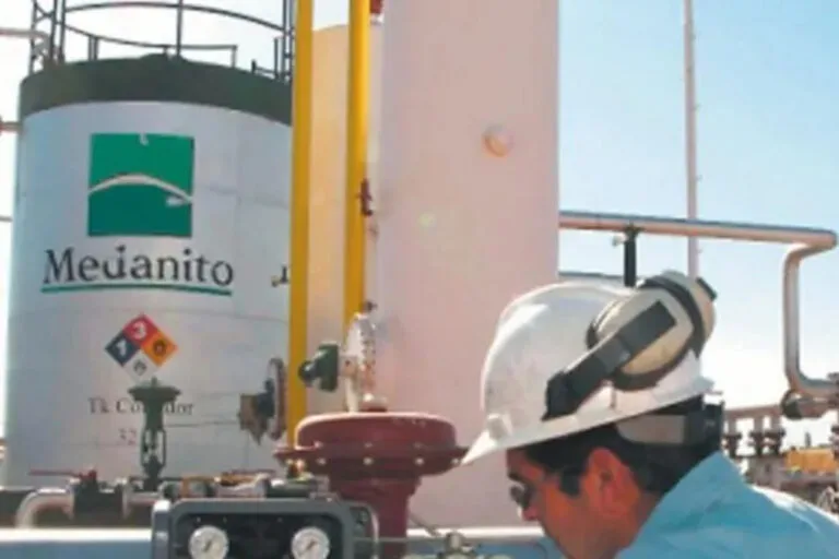 La Pampa relanzó la licitación por El Medanito con canon reducido a USD 25 millones