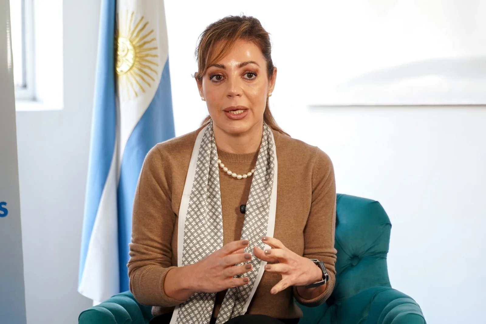 Flavia Royón presidirá la Comisión de Energía y Minería del Senado