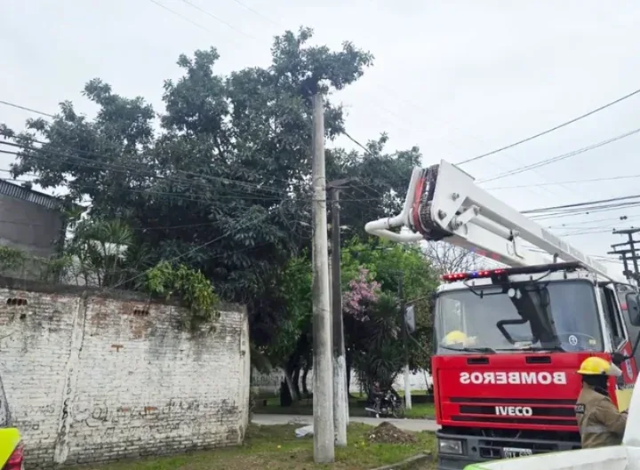 Electrocución fatal en San Miguel: hombre muere al cosechar paltas en Isabel La Católica