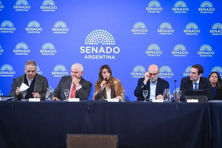 Senado avanza con dictamen para una nueva ley de biocombustibles