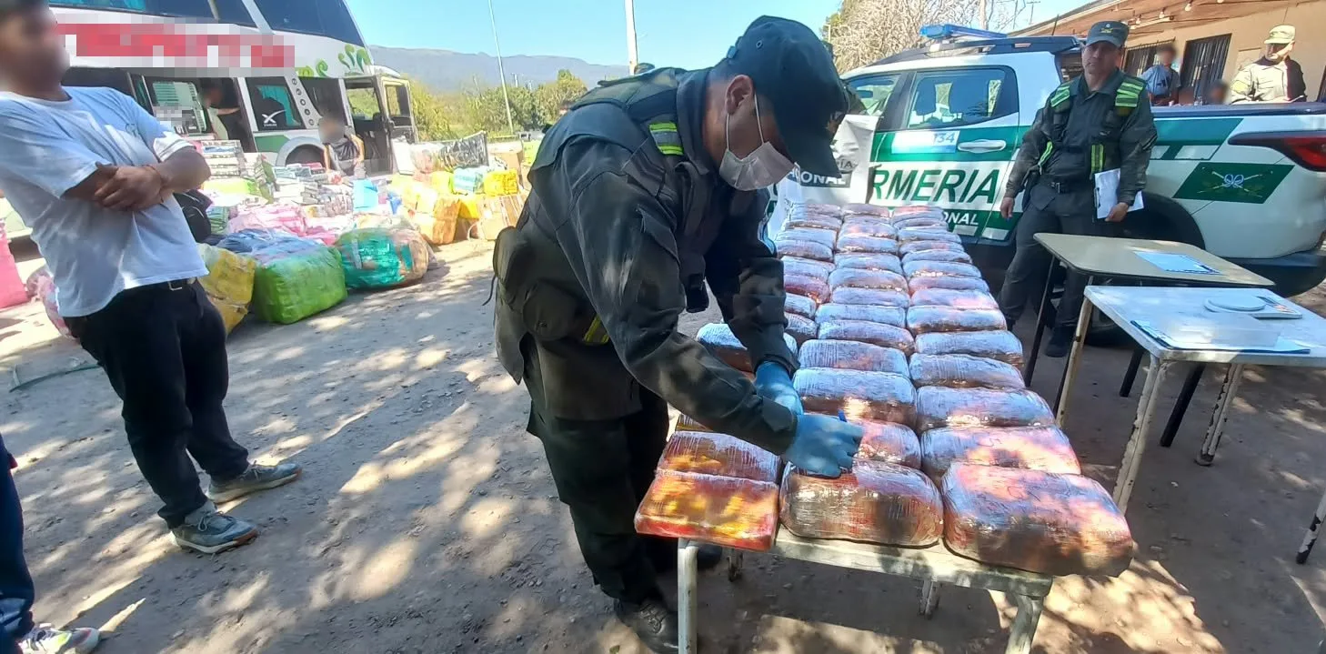 De Orán a Catamarca: secuestran 49 kilos de marihuana y 4 de cocaína en peluches capibara