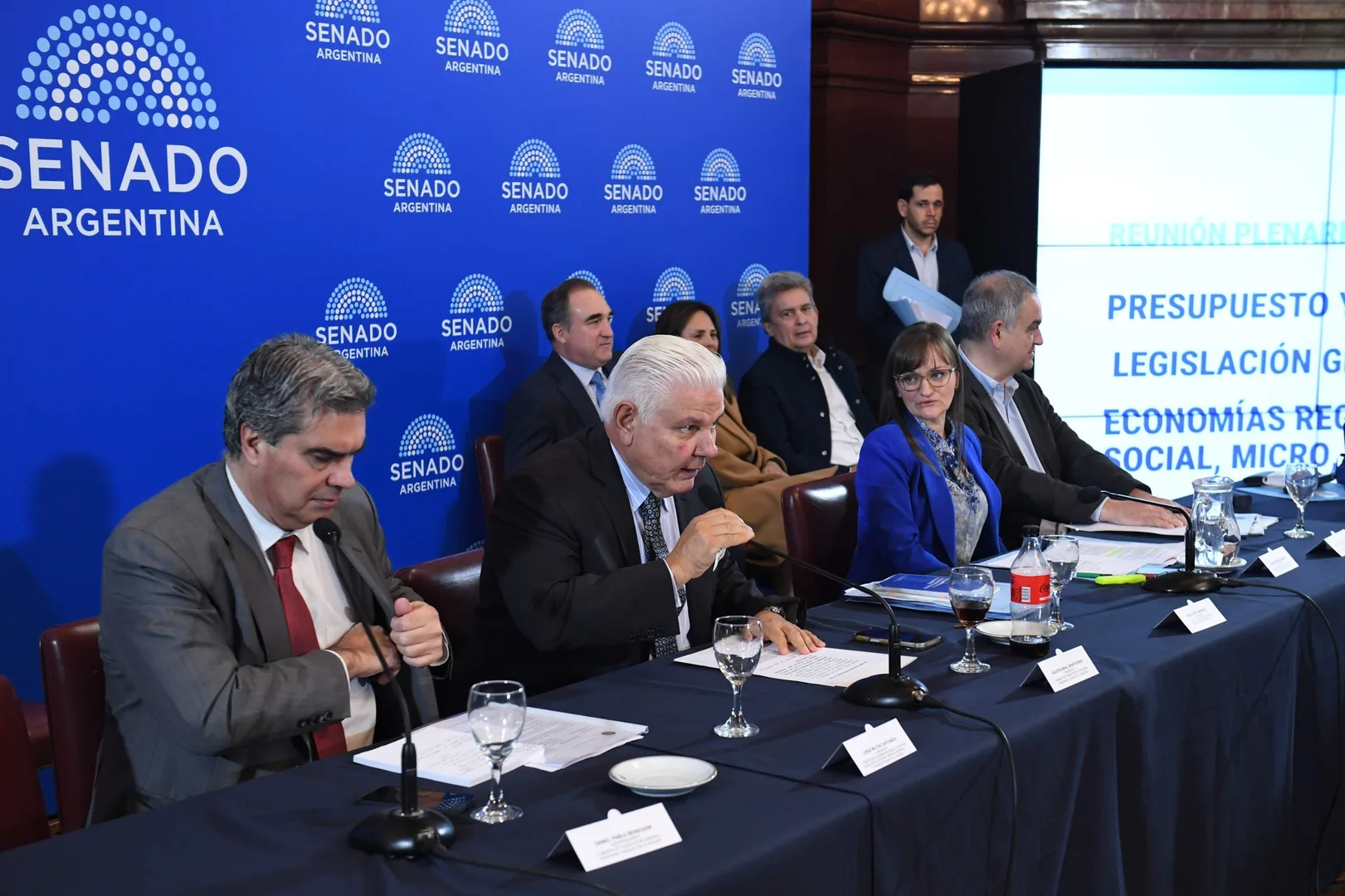 El RIIR pasó a la firma de los senadores en reunión plenaria