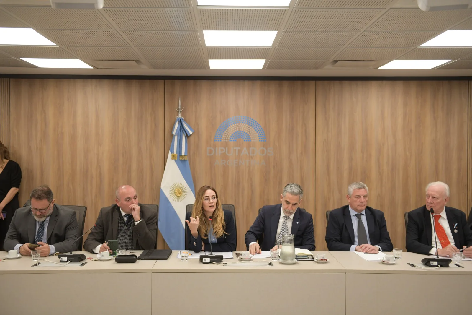 La comisión de Minería firmó dictámenes para incorporar tierras raras al Código de Minería