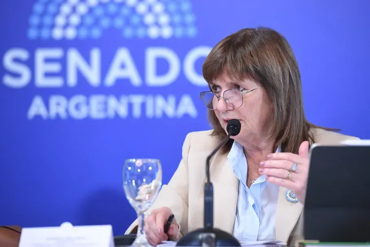 El Senado debate la suspensión de las PASO y la Ficha Limpia