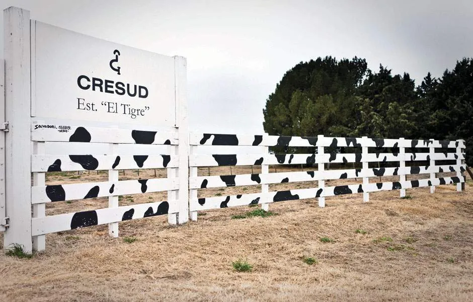 Cresud convoca asamblea para aprobar un dividendo de hasta $116.000 millones