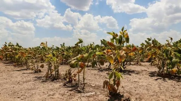Presentan proyecto para aplicar la Ley 26509 a productores agropecuarios afectados por el clima
